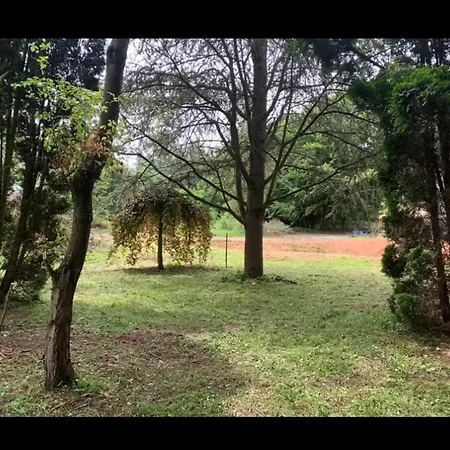 Villa Spacious With Private Pool In 200 M² Tranquil